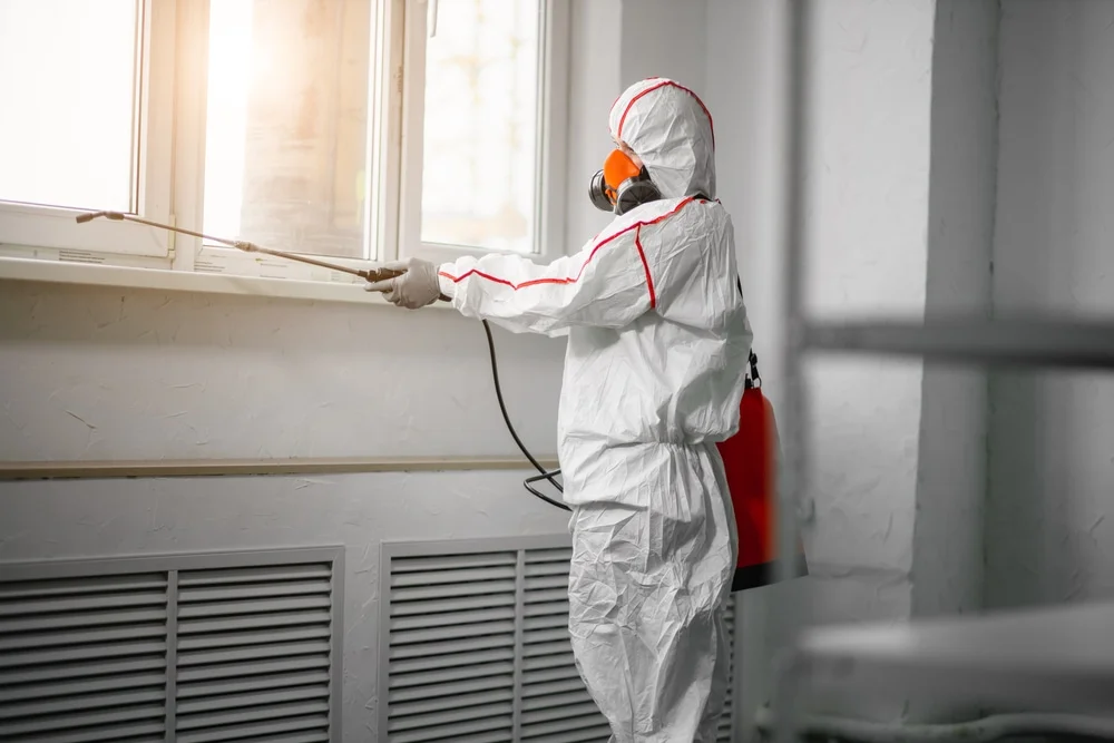 Professional mold remediation services in Suttons Bay, MI